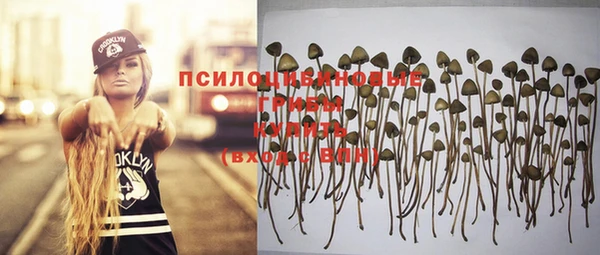 СК Баксан